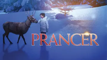 Zasłona do filmu "Prancer" #719224