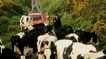 Zasłona do filmu "Oświadczyny po irlandzku" #1165778