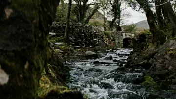 Oświadczyny po irlandzku