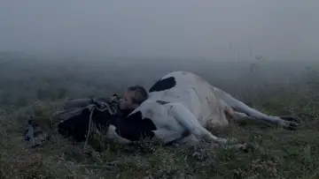 Zasłona do filmu "Idź i patrz" #174957