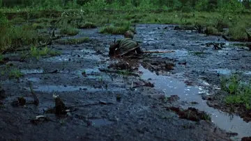 Zasłona do filmu "Idź i patrz" #174969