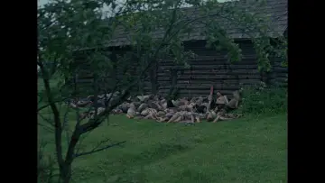 Zasłona do filmu "Idź i patrz" #845259