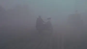 Zasłona do filmu "Idź i patrz" #930080