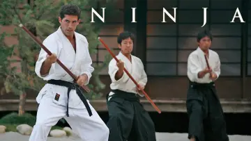 Zasłona do filmu "Ninja" #154598