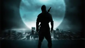 Zasłona do filmu "Ninja" #308940