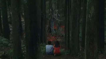 Zasłona do filmu "Sierpniowa rapsodia" #1108236