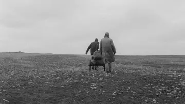 Zasłona do filmu "Hańba" #471195
