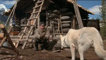 Zasłona do filmu "Śmiertelne polowanie" #383904