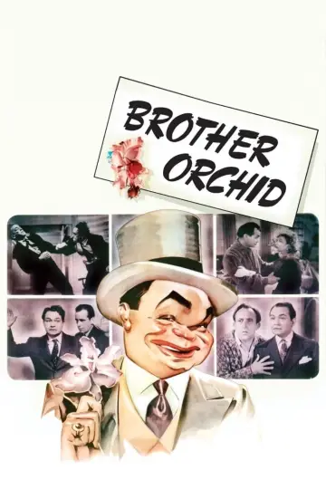 Plakat do filmu "Brother Orchid" #1129627