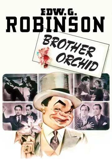 Plakat do filmu "Brother Orchid" #1129628