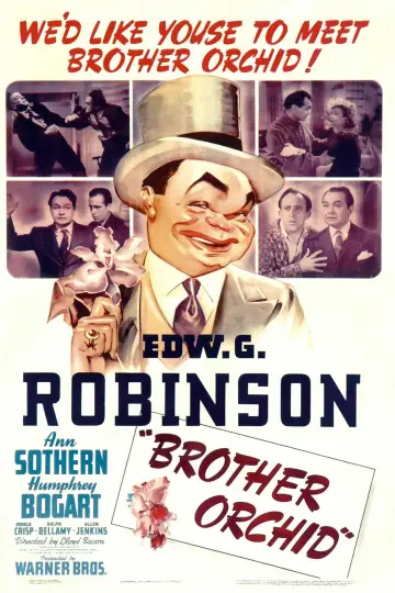 Plakat do filmu "Brother Orchid" #1129630