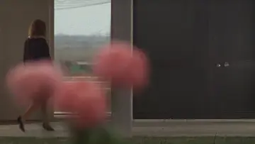 Zasłona do filmu "Czerwona pustynia" #775112