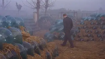 Zasłona do filmu "Czerwona pustynia" #775115