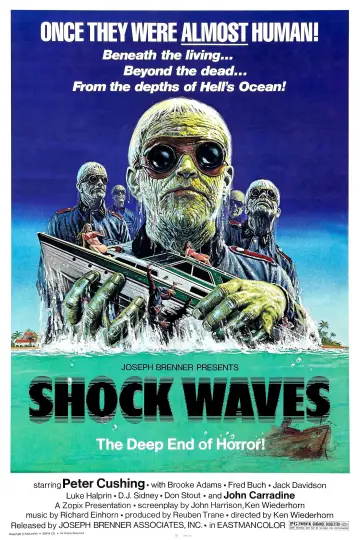 Plakat do filmu "Porażające fale" #1123212