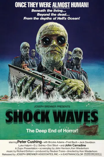 Plakat do filmu "Porażające fale" #1123213