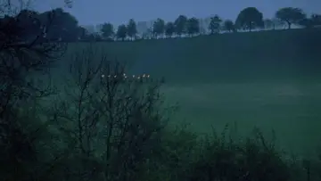 Zasłona do filmu "Krew na szponach szatana" #1651434