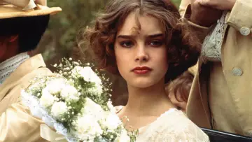 Zasłona do filmu "Ślicznotka" #248658