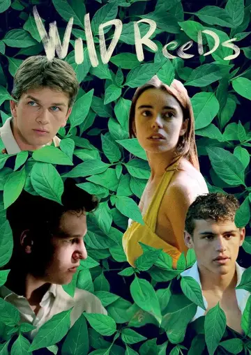 Plakat do filmu "Les Roseaux sauvages" #1084777