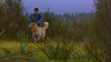 Zasłona do filmu "Koszykarz Buddy" #950734
