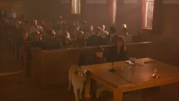 Zasłona do filmu "Koszykarz Buddy" #950737