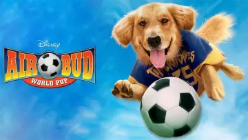 Zasłona do filmu "Buddy - pies na gole" #1045300