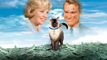 Zasłona do filmu "That Darn Cat!" #1039940