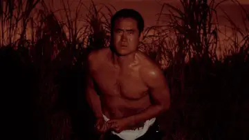 Zasłona do filmu "Mishima" #856477