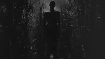 Zasłona do filmu "I Walked with a Zombie" #1096427