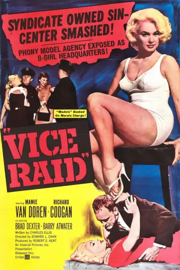 Vice Raid