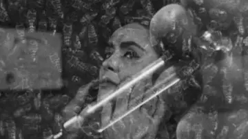 Zasłona do filmu "The Wasp Woman" #1109889
