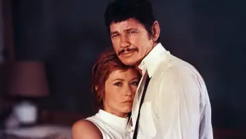 Zasłona do filmu "Pasażer w deszczu" #436845