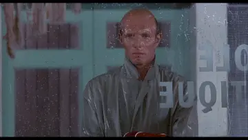 Zasłona do filmu "Pasażer w deszczu" #436847