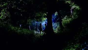Zasłona do filmu "Zadanie specjalne" #865669