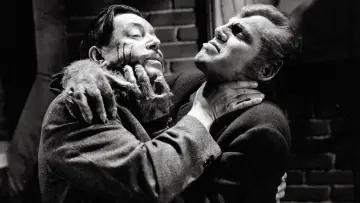 Zasłona do filmu "Werewolf of London" #408738