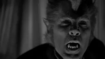 Zasłona do filmu "Werewolf of London" #408747