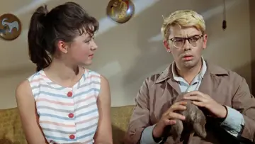 Zasłona do filmu "Operacja Y, czyli nowe przypadki Szurika" #399813