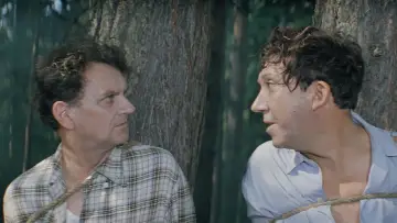Zasłona do filmu "Brylantowa Ręka" #478820