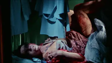 Zasłona do filmu "Sei donne per l
