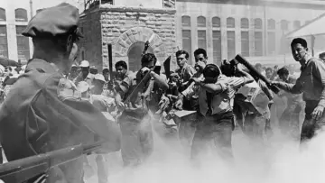 Zasłona do filmu "Riot in Cell Block 11" #1168964