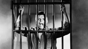 Zasłona do filmu "Riot in Cell Block 11" #425774