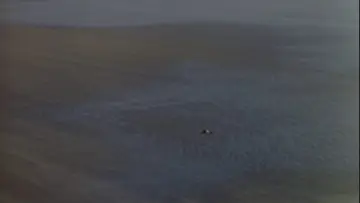 Zasłona do filmu "Sprawa życia i śmierci" #1400148