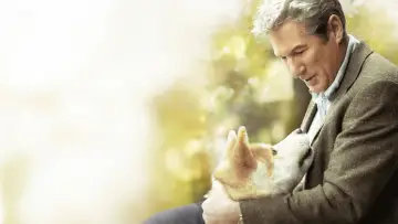 Zasłona do filmu "Mój przyjaciel Hachiko" #1796719