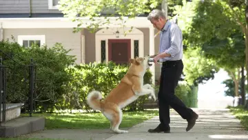 Zasłona do filmu "Mój przyjaciel Hachiko" #180058