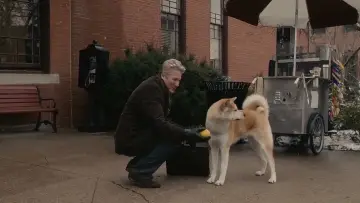 Zasłona do filmu "Mój przyjaciel Hachiko" #180063