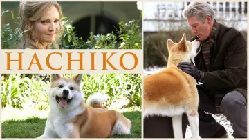 Zasłona do filmu "Mój przyjaciel Hachiko" #612526