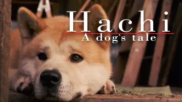 Zasłona do filmu "Mój przyjaciel Hachiko" #612534