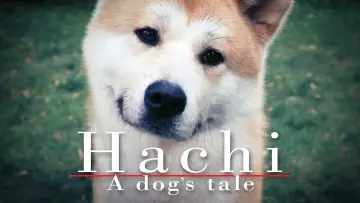 Zasłona do filmu "Mój przyjaciel Hachiko" #612536