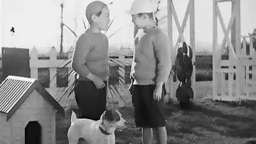 Zasłona do filmu "Urodziłem się, ale..." #1619628
