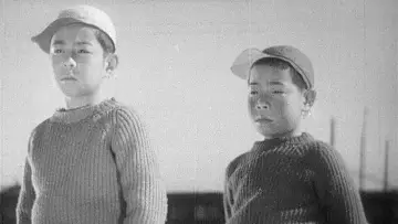 Zasłona do filmu "Urodziłem się, ale..." #1619629