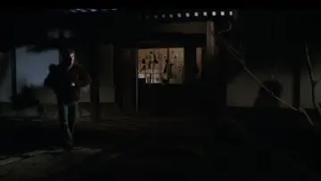 Zasłona do filmu "Yakuza" #1060144